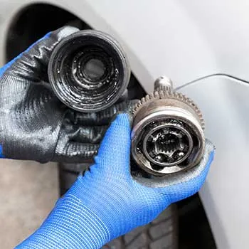 Drivetrain & Differential